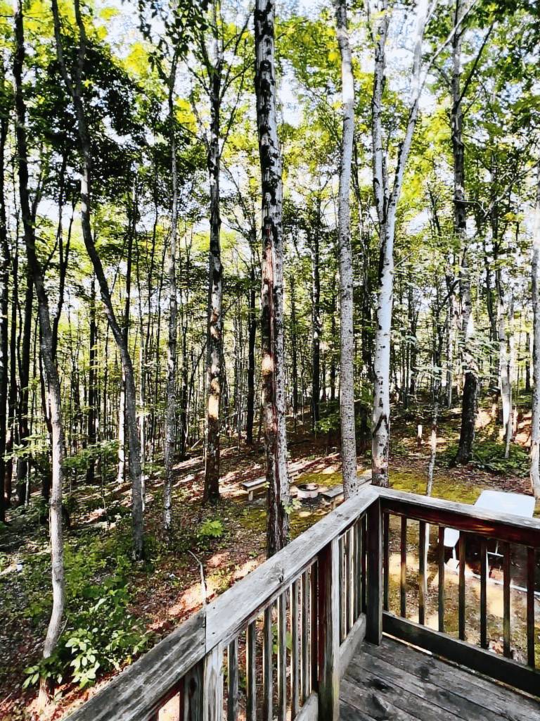 Cabin Hocking Hills