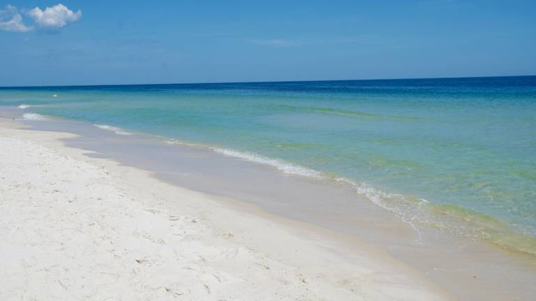 House Gulf Shores